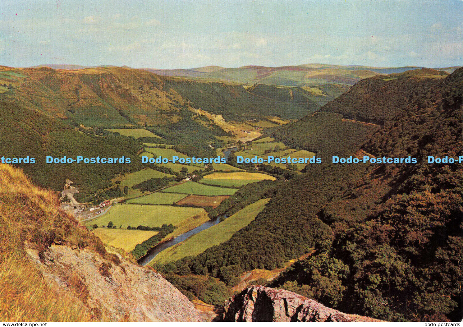 D171560 Cardiganshire. The Rheidol Valley. J. Arthur Dixon