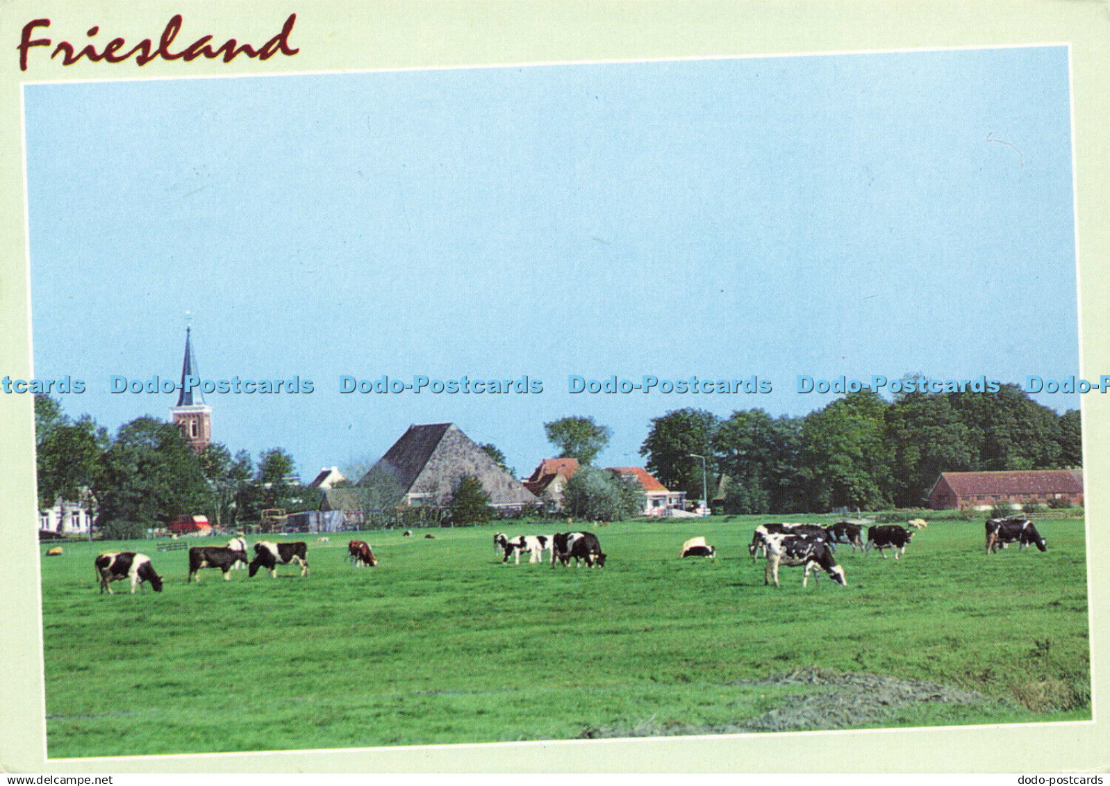 D171808 Friesland. Van Leer. Postcard