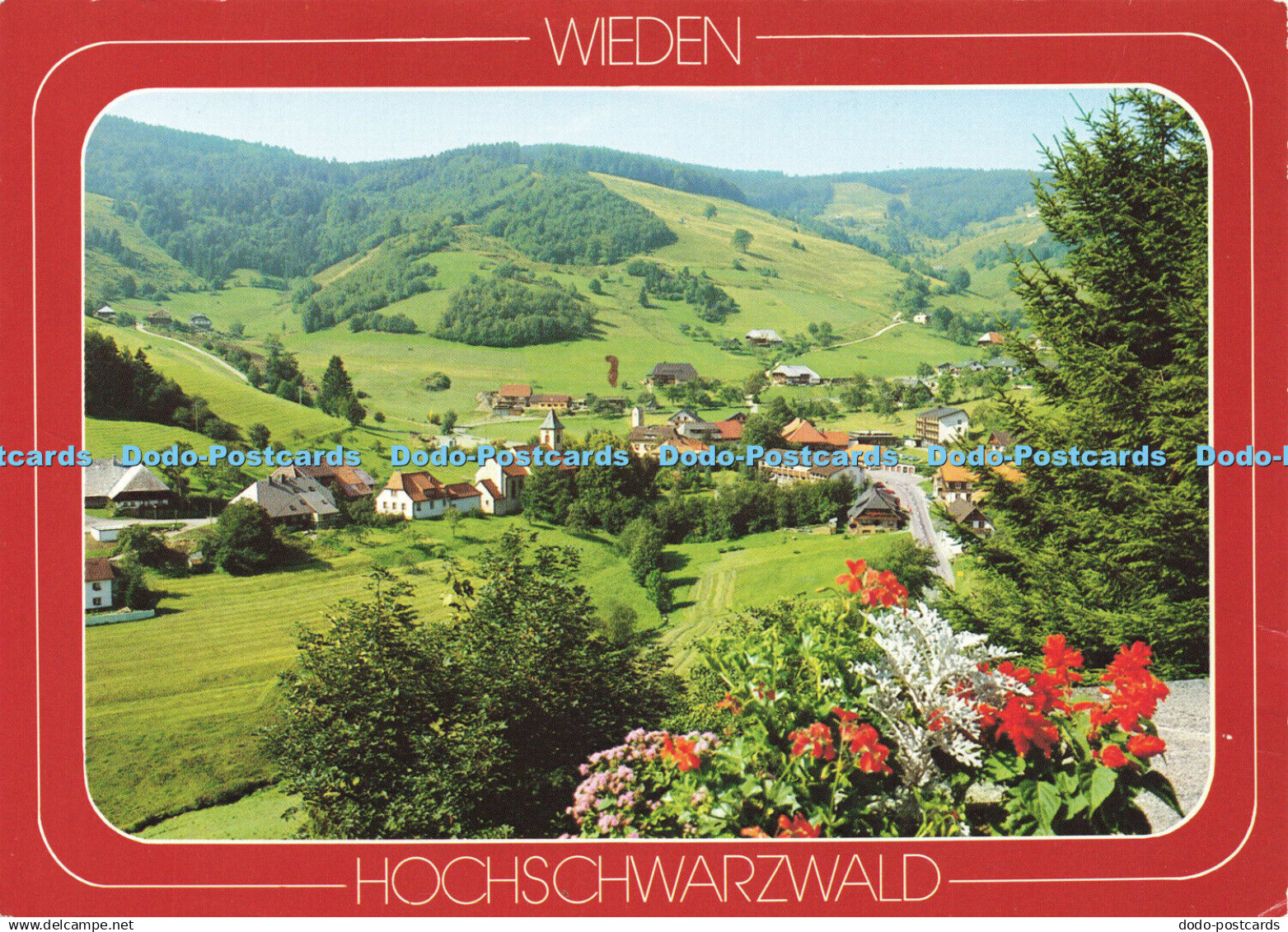 D171874 Wieden. Hochschwarzwald. W. Feldmann