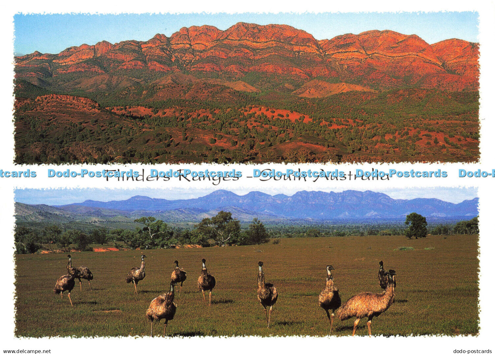 D172401 South Australia. Flinders Ranges. Pete Dobre Oz Scapes. Multi View