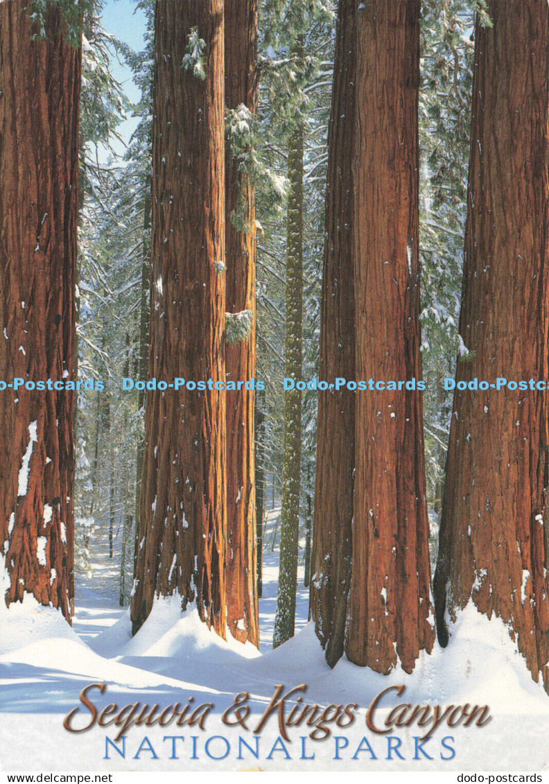 D173731 National Parks. Sequoia and Kings Canyon. Impact. Marc Muench