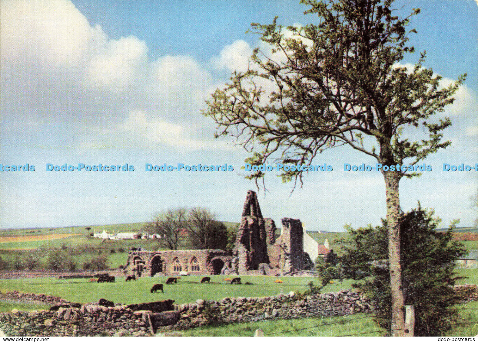 D177941 Wigtownshire. Glenluce Abbey. Valentine. Scots Pictorial Series. RP