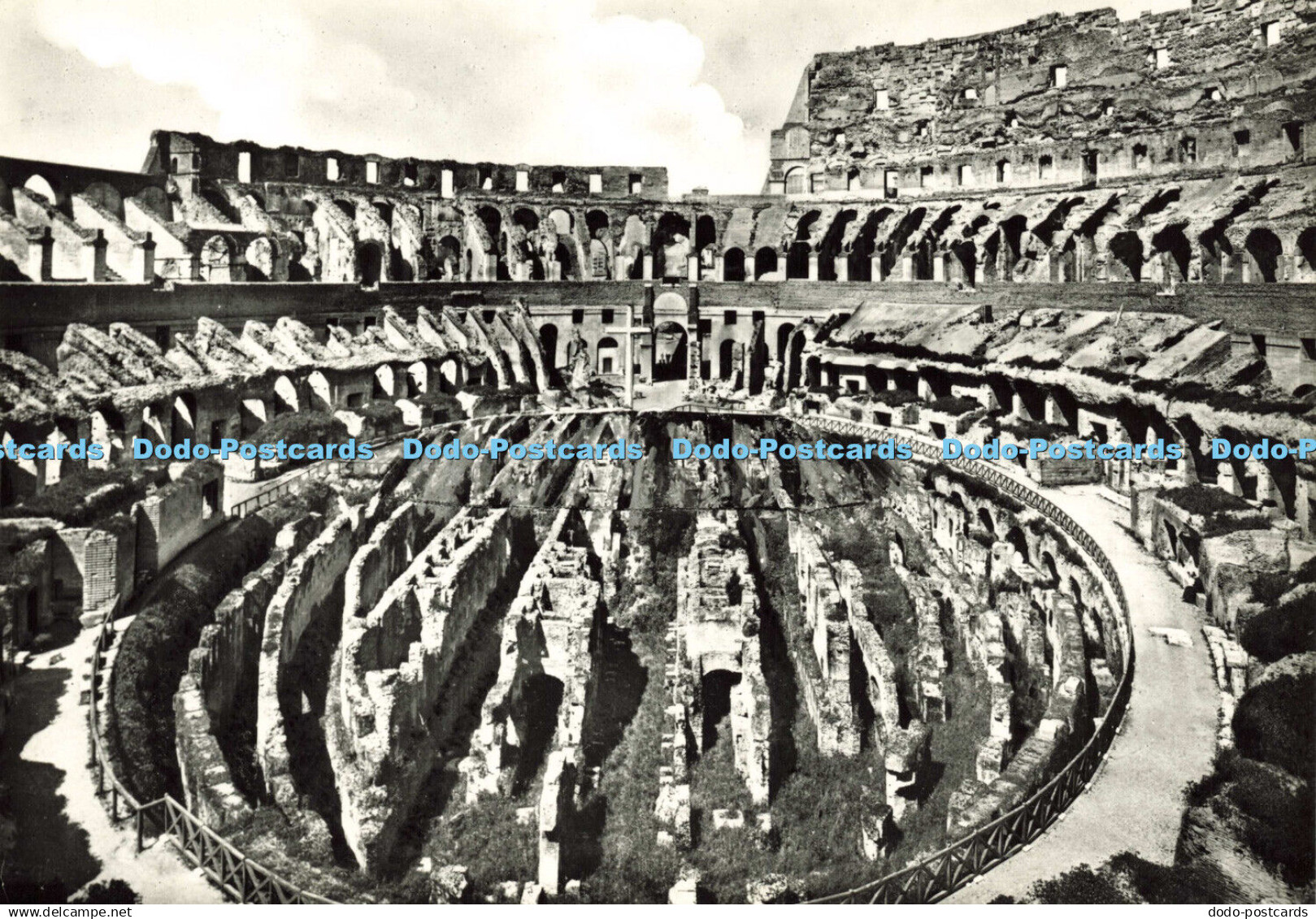 D178238 Roma. Colosseum and the New Excavations. RP