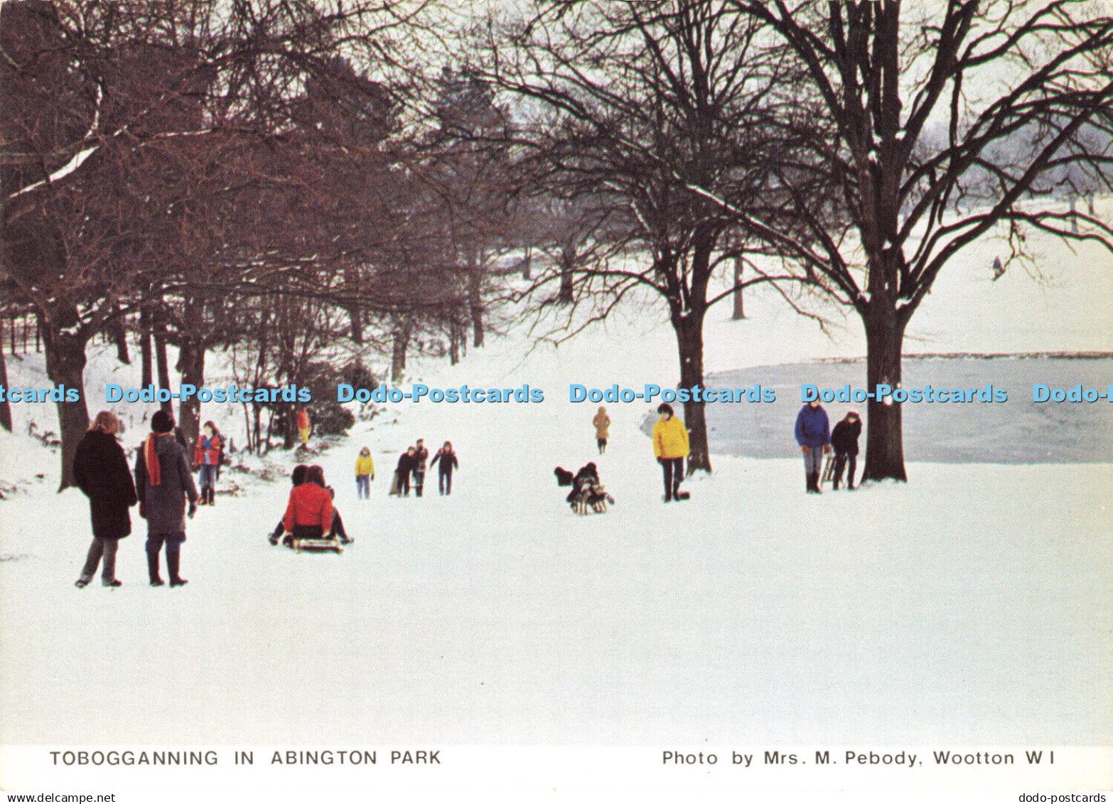 D188437 Tobogganning in Abington Park. Northamptonshire Federation of Women Inst