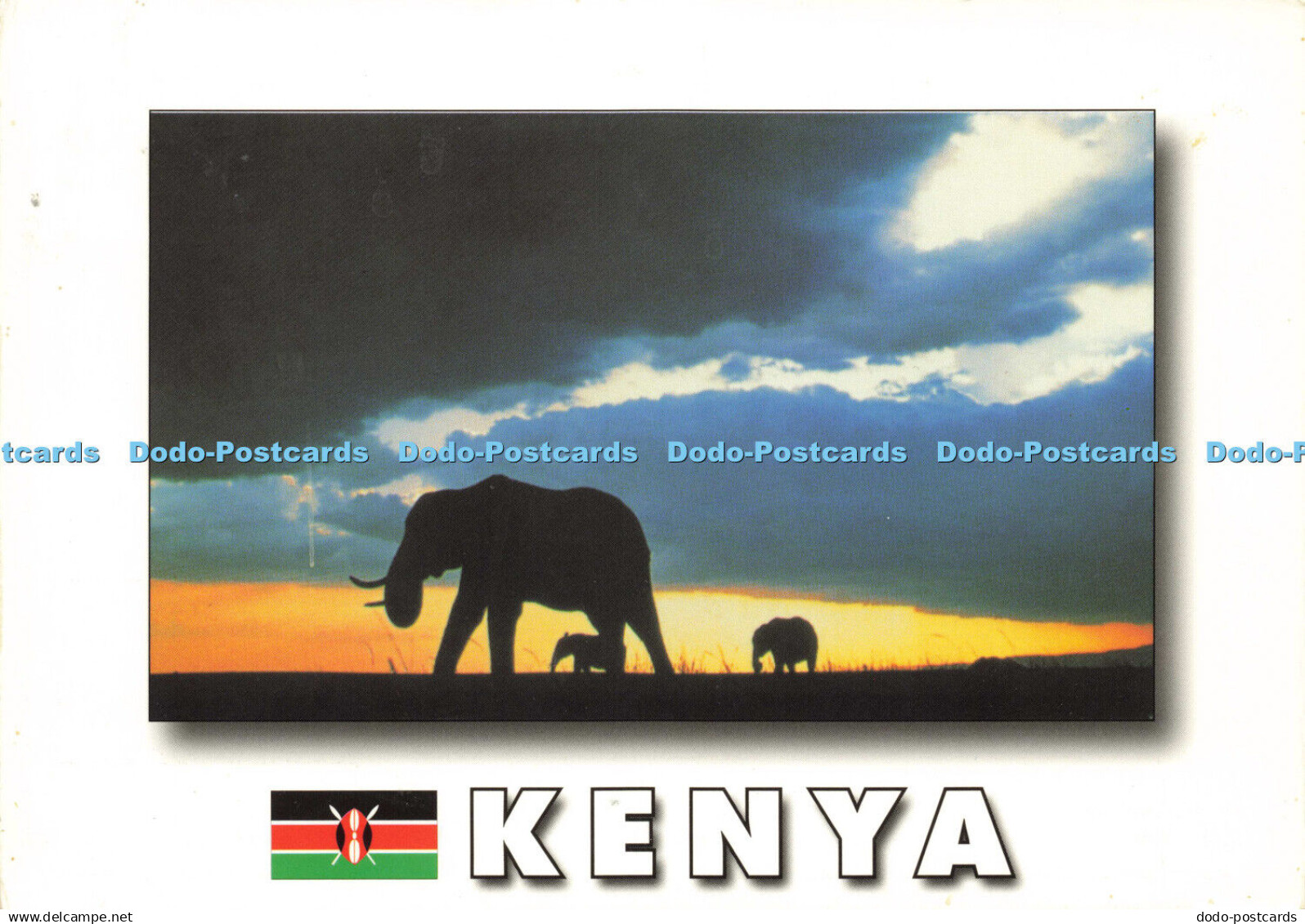 D189475 Kenya. African Wildlife. Elephants. Mount Kenya Sundries Limited. J. Sco