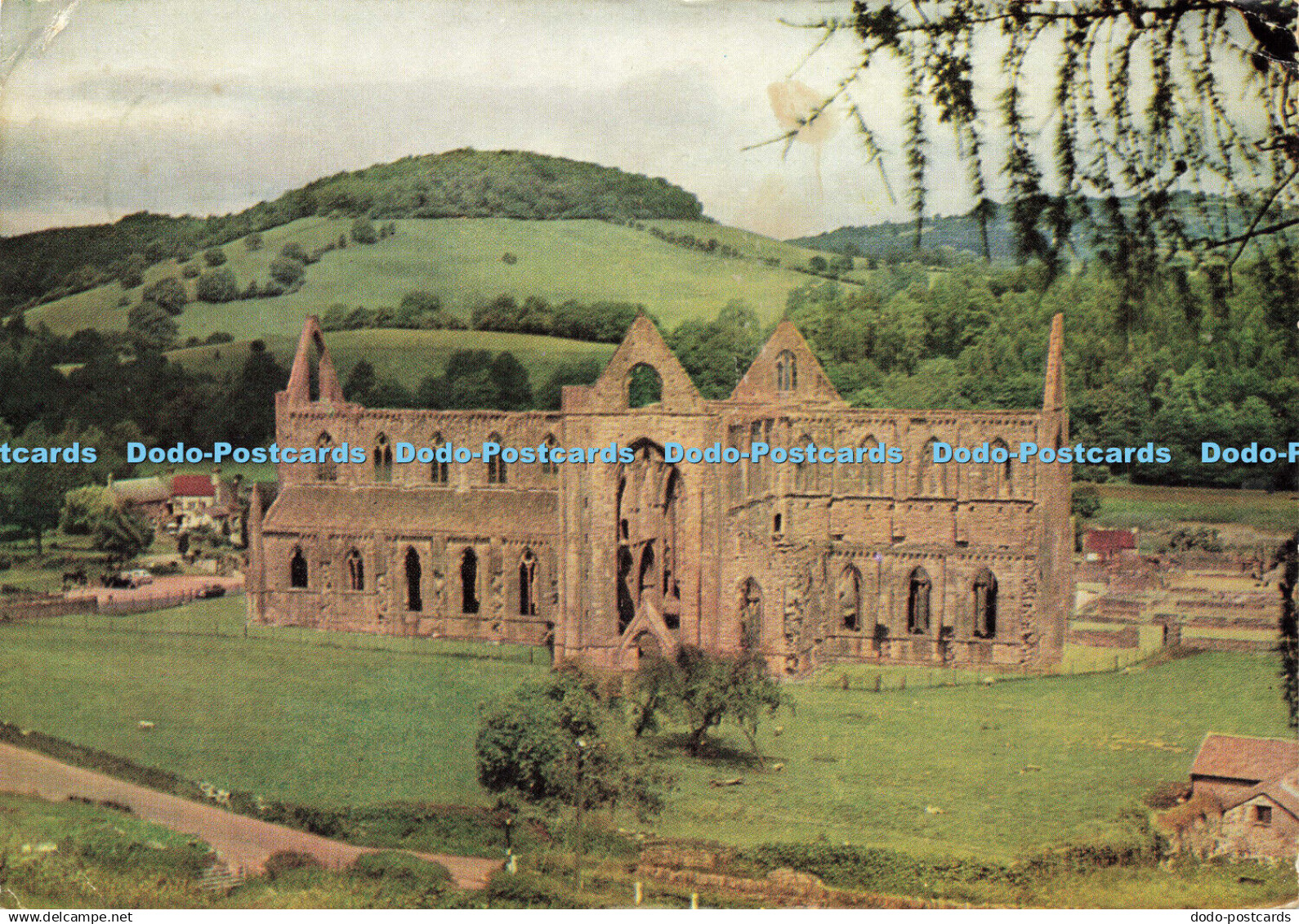 D189795 Monmouthshire. Tintern Abbey. View from South East. Fix Photos. William