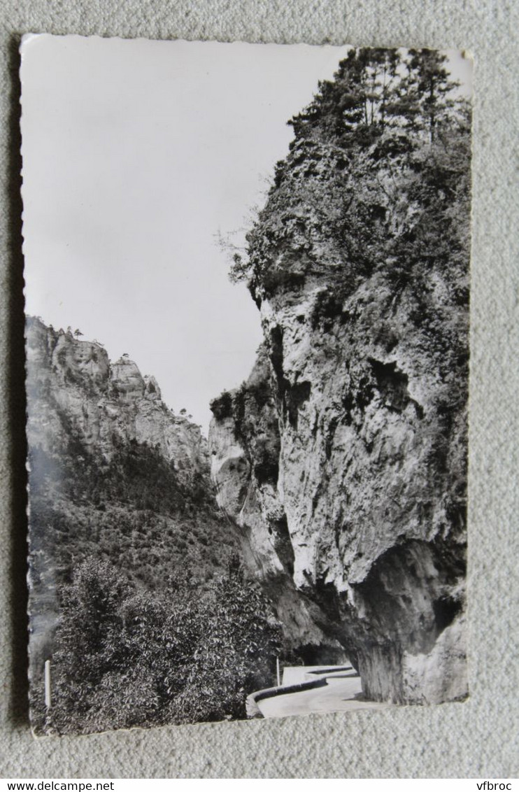 D274, Cpm 1960, les gorges du Tarn, la route et les gorges, Lozère 48