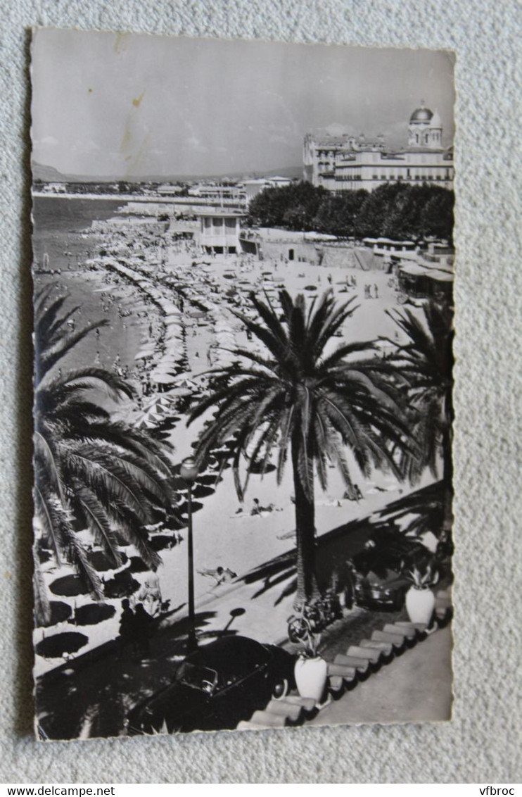 D771, Cpsm 1955, Saint Raphael, la plage et les palmiers, Var 83