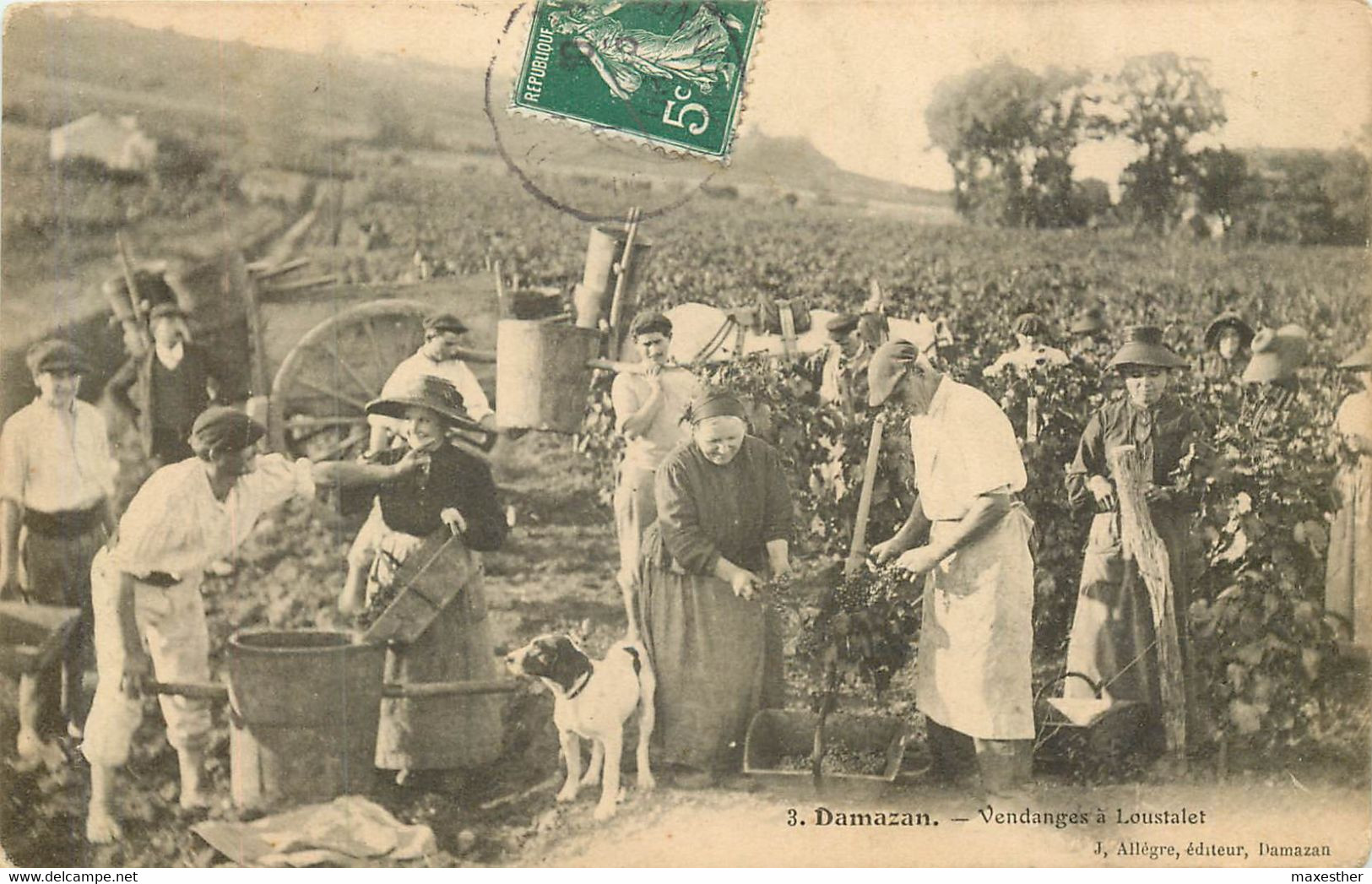 DAMAZAN  vendanges à LOUSTALET