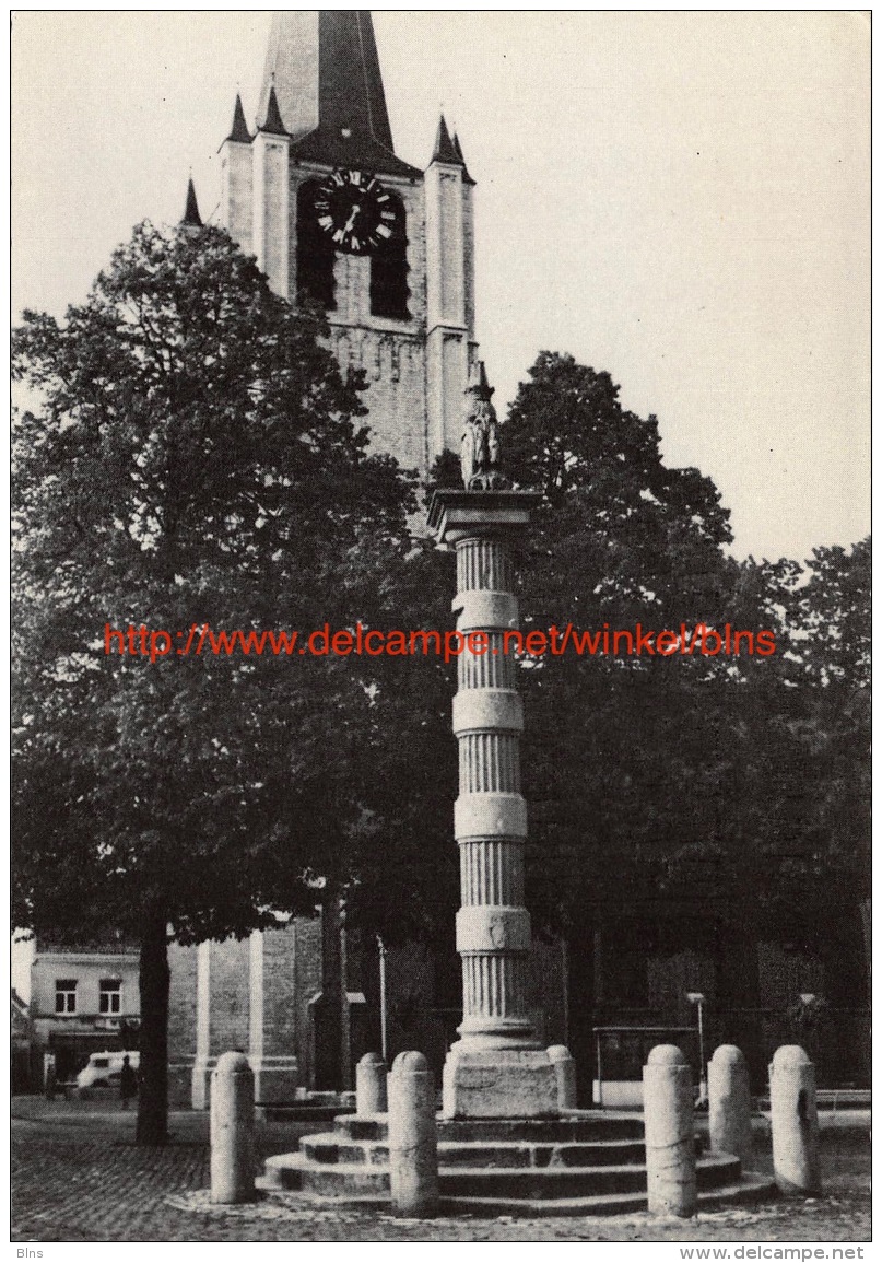 De Kaeck Sint-Petruskerk Wommelgem