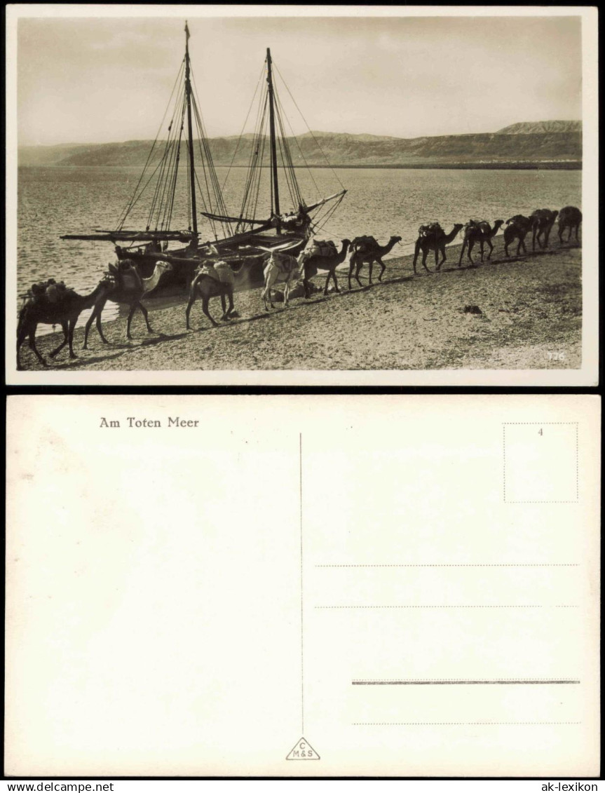 Dead Sea (Totes Meer) Salzmeer Totes Meer Israel Schiff Karawane 1930