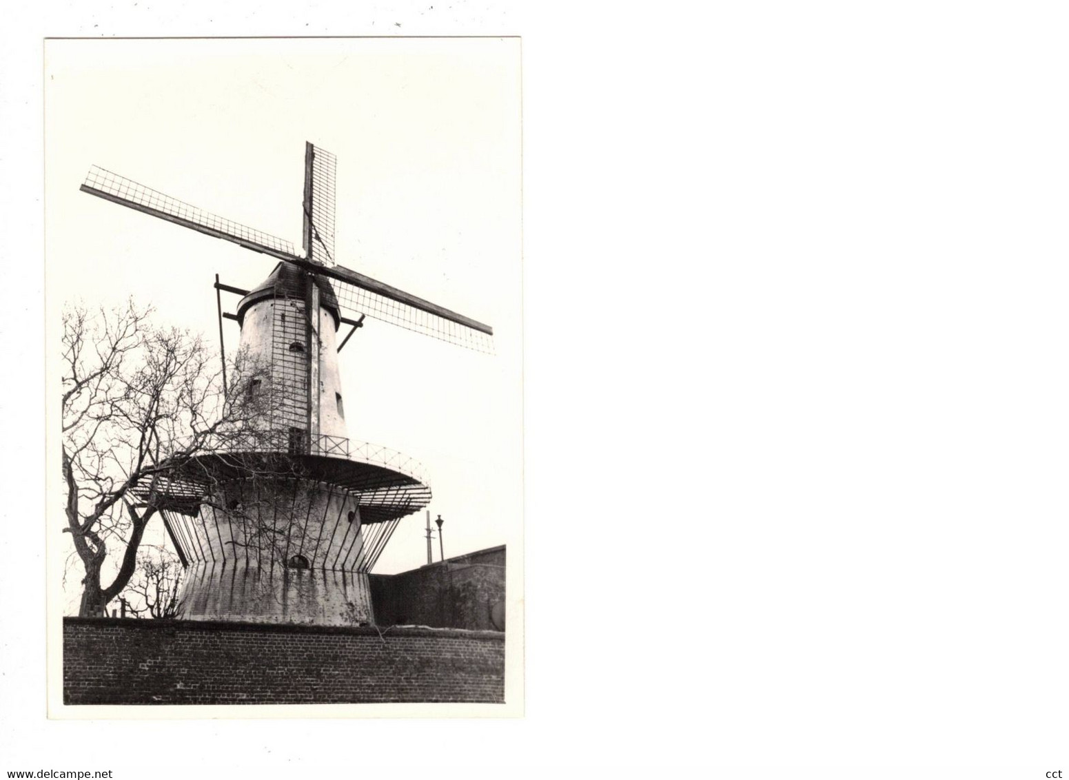 Deerlijk   FOTO  van de molen ter Geest      1980   MOLEN  MOULIN