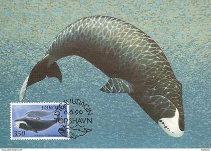 Färöer Inseln Îles Féroé 1990 , Maximum Card - Bowhead Whale - Baleine à bosse - WWF