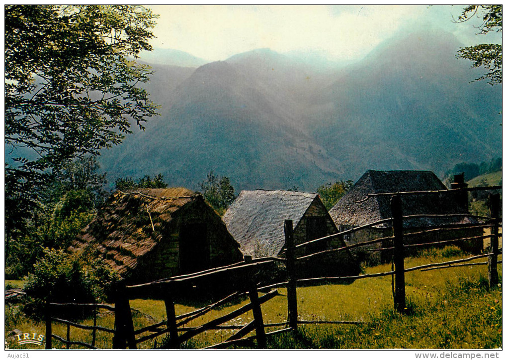 Dép 65 - Borderes Louron - Bergeries au Col de Borderes - Semi moderne grand format - état