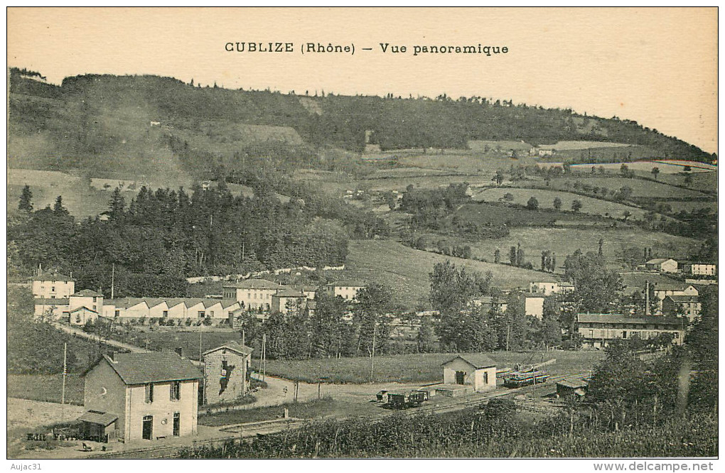 Dép 69 - Chemins de fer - Gares - Gare - Cublize - Vue panoramique - bon état