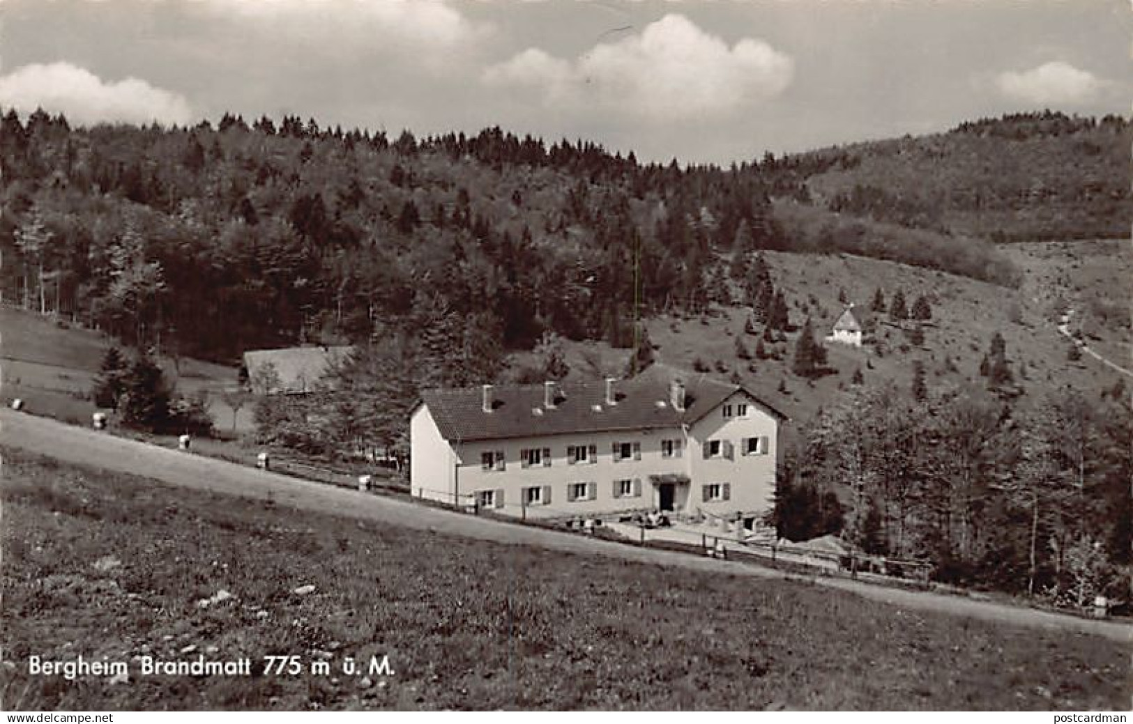 Deutschland - BRANDMATT (BW) Bergheim