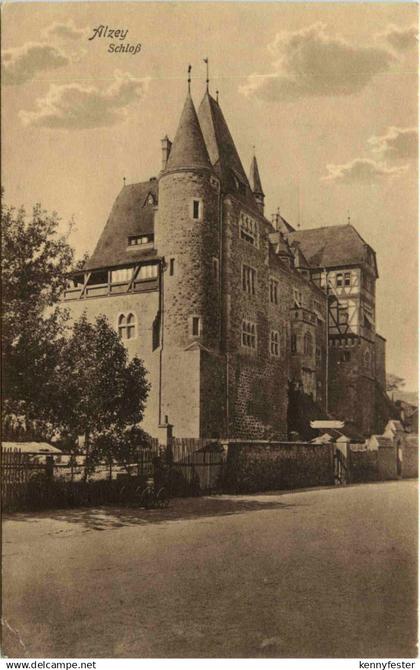 Alzey, Schloss