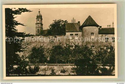 42808409 Amberg Oberpfalz Stadtmauer Amberg