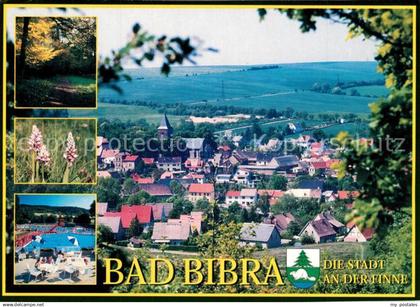 73268947 Bad Bibra Stadtpanorama Waldpartie Natur Freibad