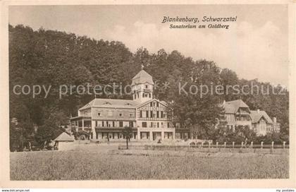 42973800 Blankenburg Bad Sanatorium am Goldberg