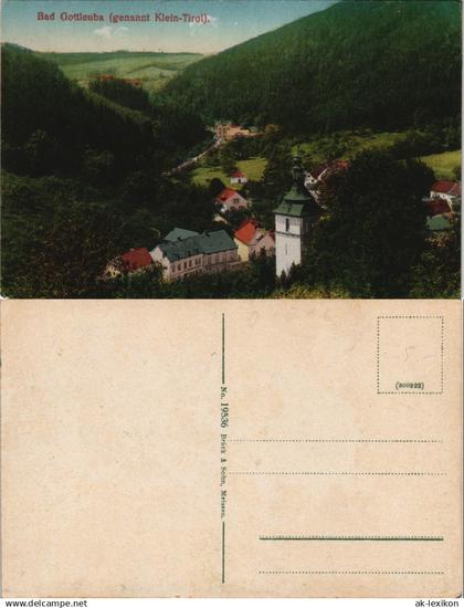 Ansichtskarte Bad Gottleuba-Bad Gottleuba-Berggießhübel Stadtpartie 1912