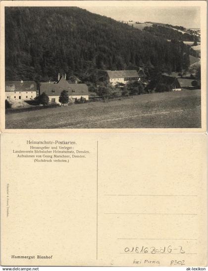 Bad Gottleuba-Bad Gottleuba-Berggießhübel Bienhof Hammergut 1928