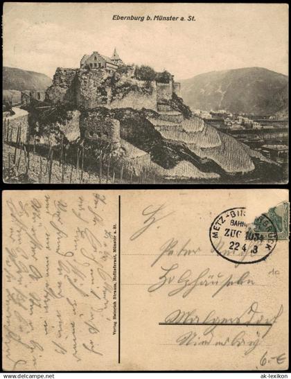 Ansichtskarte Bad Münster am Stein-Ebernburg Ebernburg, Weinberge 1913