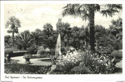 70120839 Bad Pyrmont Bad Pyrmont Palmengarten x 1956 Bad Pyrmont