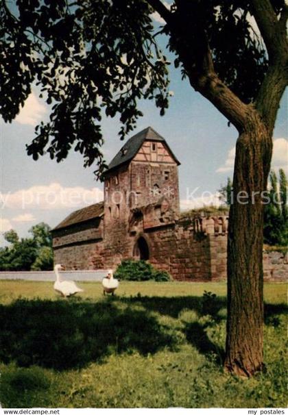 73201688 Bad Vilbel Burgruine Brunnen Heimatmuseum Bad Vilbel