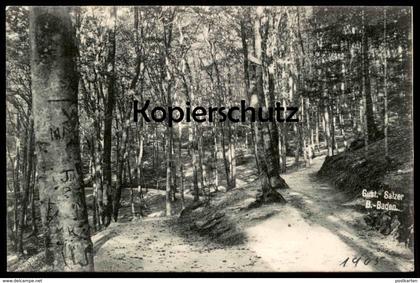 ALTE POSTKARTE BADEN-BADEN IM FRIESENWALD BEIM WALDSEE Bauminschrift Baum-Inschrift tree inscription arbre cpa postcard