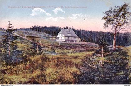 Brandebourg - Bernau - Gasthof Herzogenhorn - Bad Schwarzwald