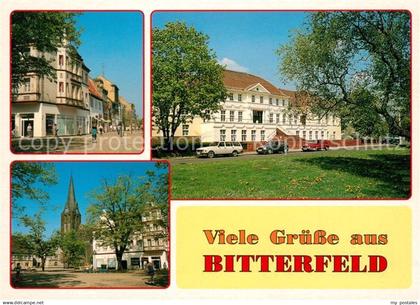 73199088 Bitterfeld Markt Kirche Lutherhaus Bitterfeld