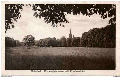 Bitterfeld - Binnengärtenwiese