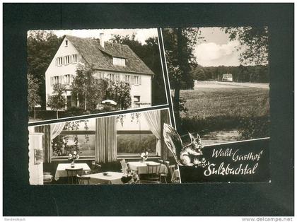 CPSM - Kreis Böblingen - Wald Gasthof SULZBACHTAL ( Hôtel multivues FELDMANN 7031)