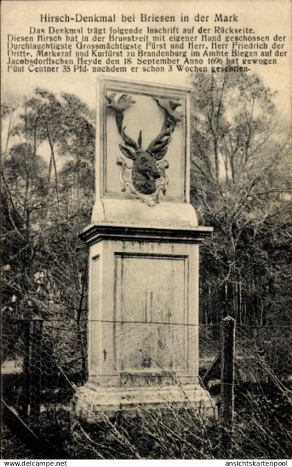 CPA Briesen in der Mark, Hirsch-Denkmal