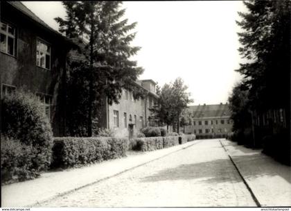 CPA Neu Seddin Neuseddin Seddiner See Brandenburg, Thielenstraße