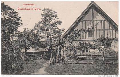 AK Spreewald Bauernhaus Gehöft Burg bei Leipe Lehde Werben Raddusch Vetschau Guhrow Briesen Lübbenau Lübben Cottbus