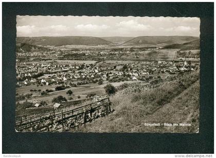 AK - Bürgstadt - Blick ins Maintal ( Foto Alfred Dittmann)