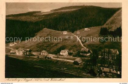 43021915 Auersberg Wildenthal Panorama Unterkunftshaus Auersberg Kupfertiefdruck