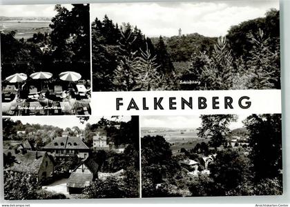 39401521 - Falkenberg , Mark