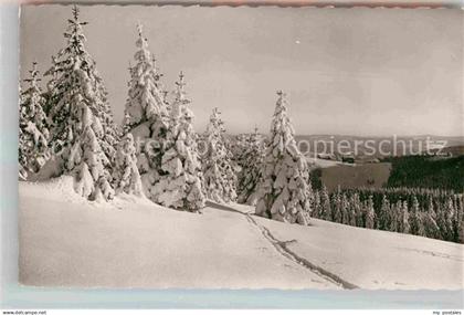 42829626 Furtwangen  Furtwangen im Schwarzwald