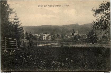 Blick auf Georgenthal