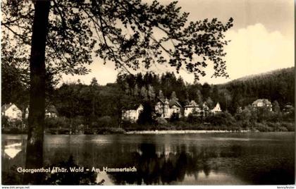 Georgenthal - Am Hammerteich