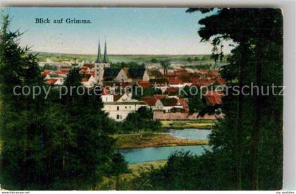 42680469 Grimma Mulde Panorama Kirche Grimma