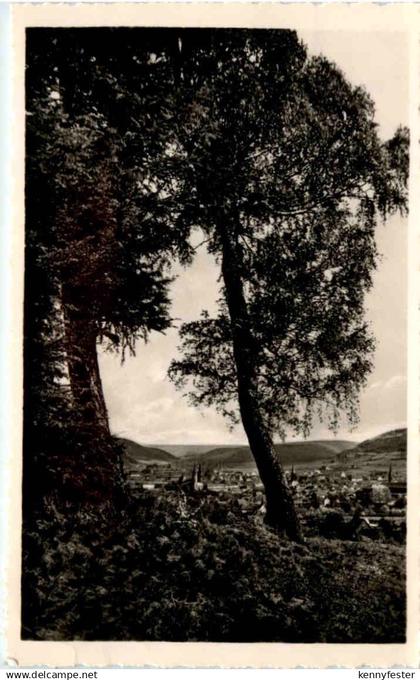 Blick auf Heiligenstadt/Eichsfeld