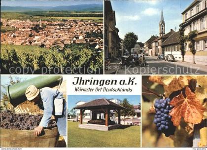 72140405 Ihringen Total Strassenpartie Weinlese Reben Ihringen