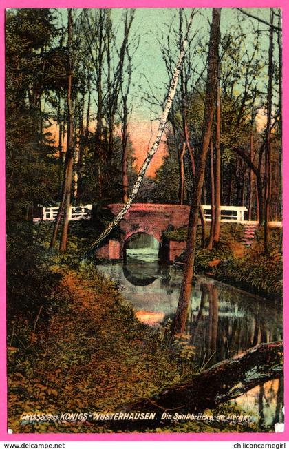 Gruss aus Konigs Wusterhausen - Die Spukbrücke Tiergarten - RICHARD FRITSCHE - 1914 - Colorisée