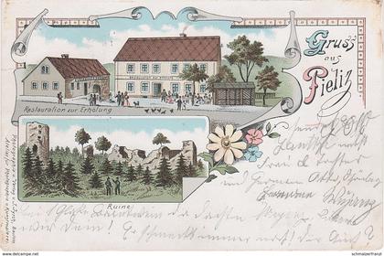 Litho AK Gruß Pielitz Restaurant zur Erholung a Kubschütz Cosul Großkunitz Schönberg Mehltheuer Döhlen Rachlau Bautzen