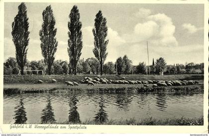 GOHFELD i. Westfalen, Löhne, Werregelände am Sportplatz (1957) AK