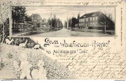 MÜHLHAUSEN i. Thür., Waldfrieden-Peterhof (1905) AK